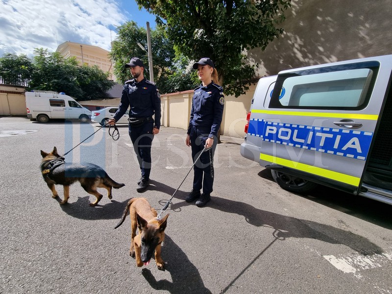 K9 Satu Mare4.jpg