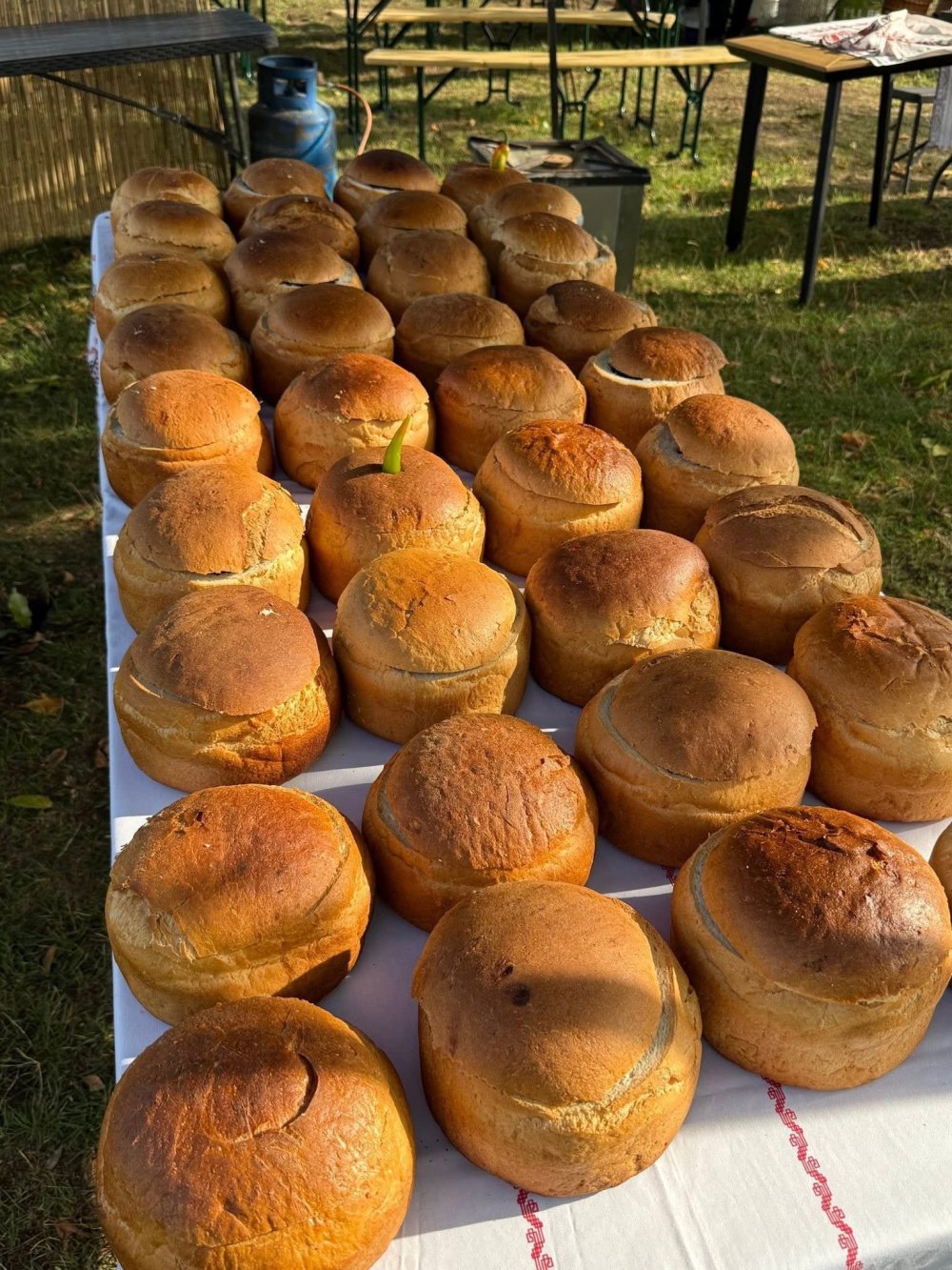 festival gastronomic tasnad  (13).jpg