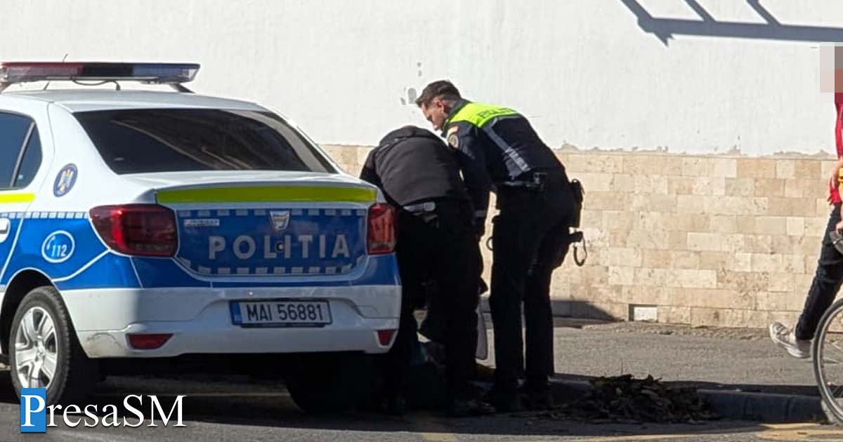 Bătaie pe stradă la Satu Mare 1.jpg