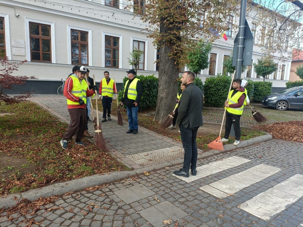 Asistați social curățenie Carei.jpg