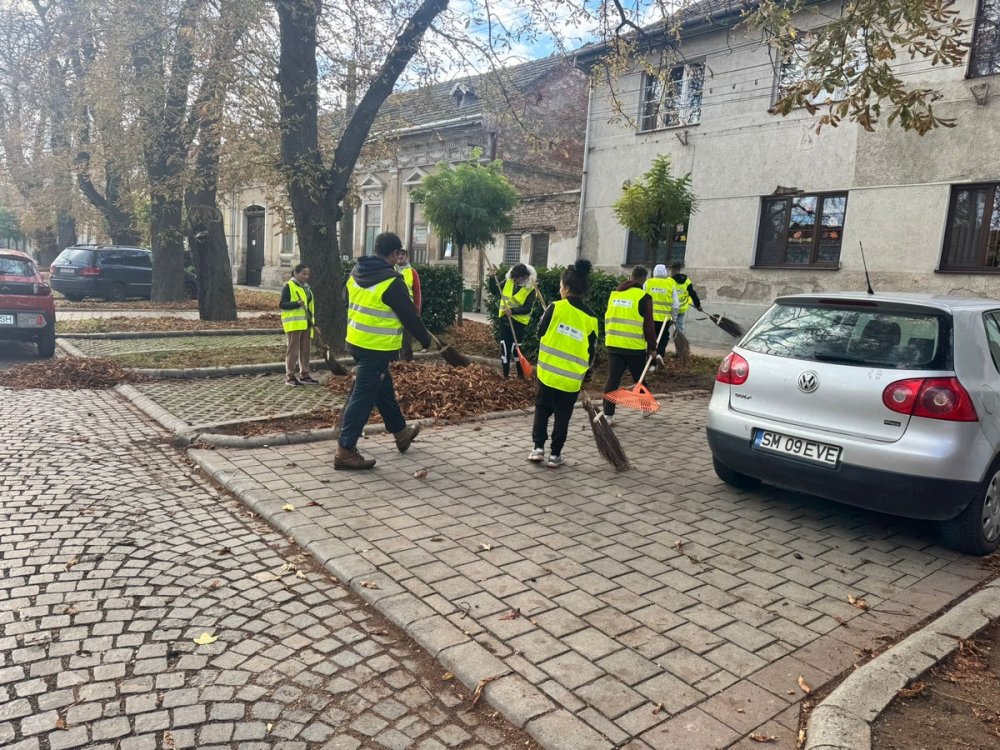 FOTO. Asistații social, scoși să facă curat în Carei. Sunt sute de persoane apte de muncă