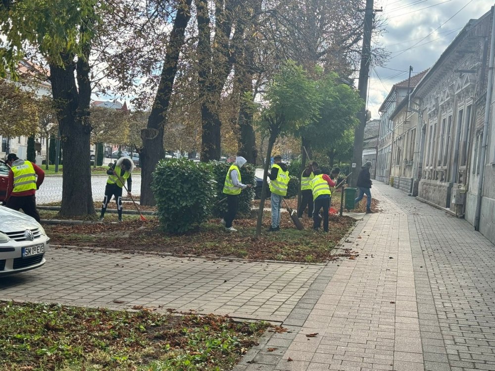 Asistați social curățenie Carei2.jpg