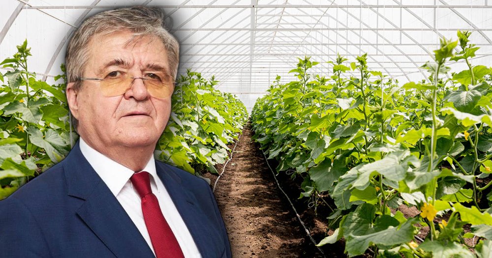 Veste bună pentru cultivatorii de legume, fructe și flori. Govor anunță lege pentru solarii și sere fără autorizații de construcție