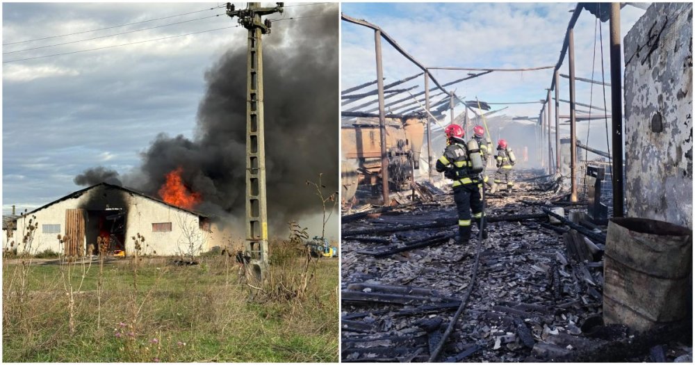 FOTO/VIDEO. Cauza incendiului de la ferma din județul Satu Mare. Tone de cereale, utilaje agricole distruse de flăcări