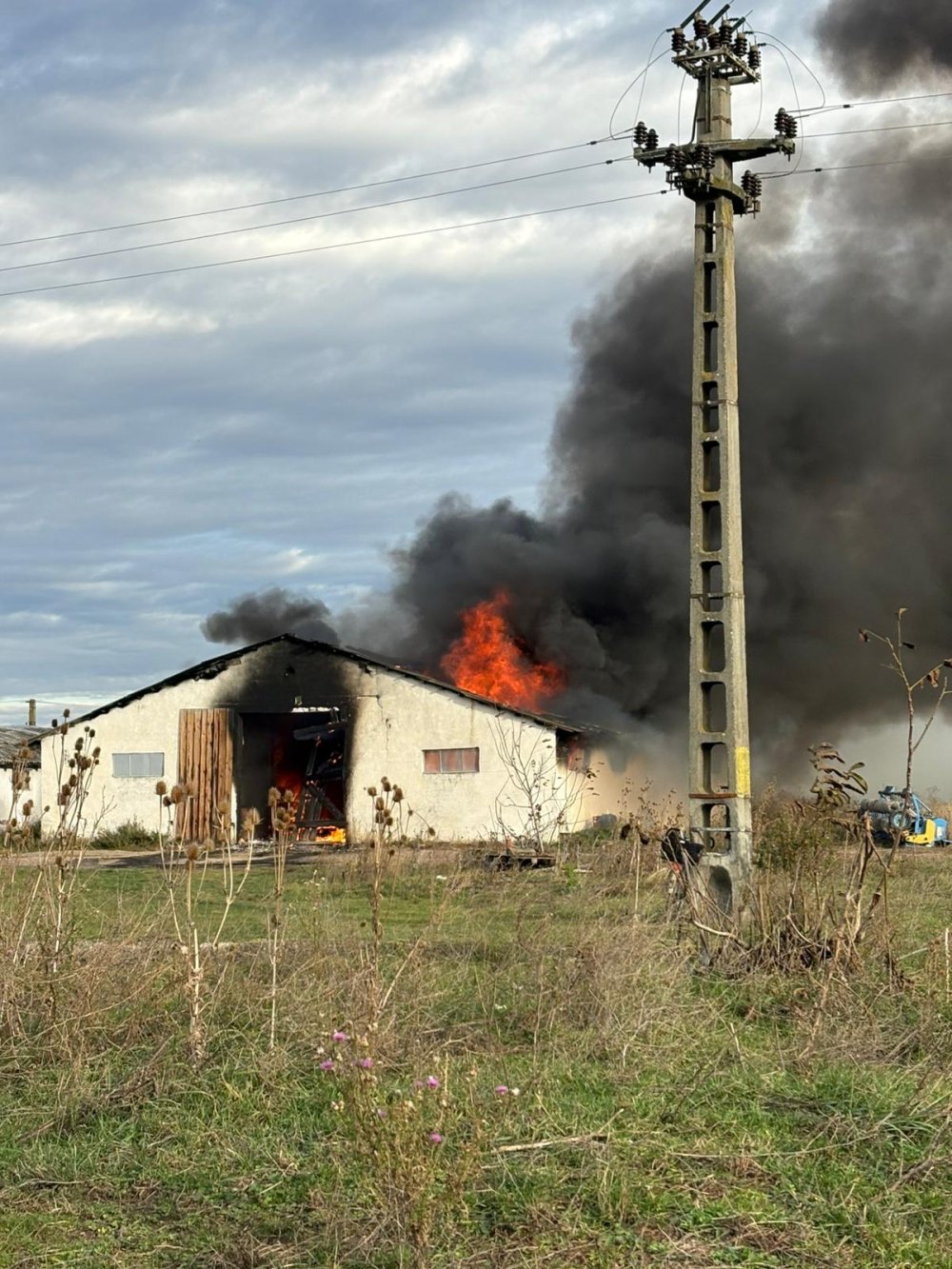 incendiu ferma 4.jpg