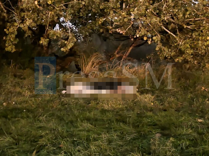 FOTO. Descoperire tragică pe malul Someșului, în municipiul Satu Mare. Bărbat găsit decedat
