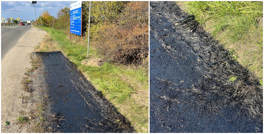 FOTO. Pistă de biciclete turnată peste iarbă, la Viile Satu Mare: 2,1 milioane lei