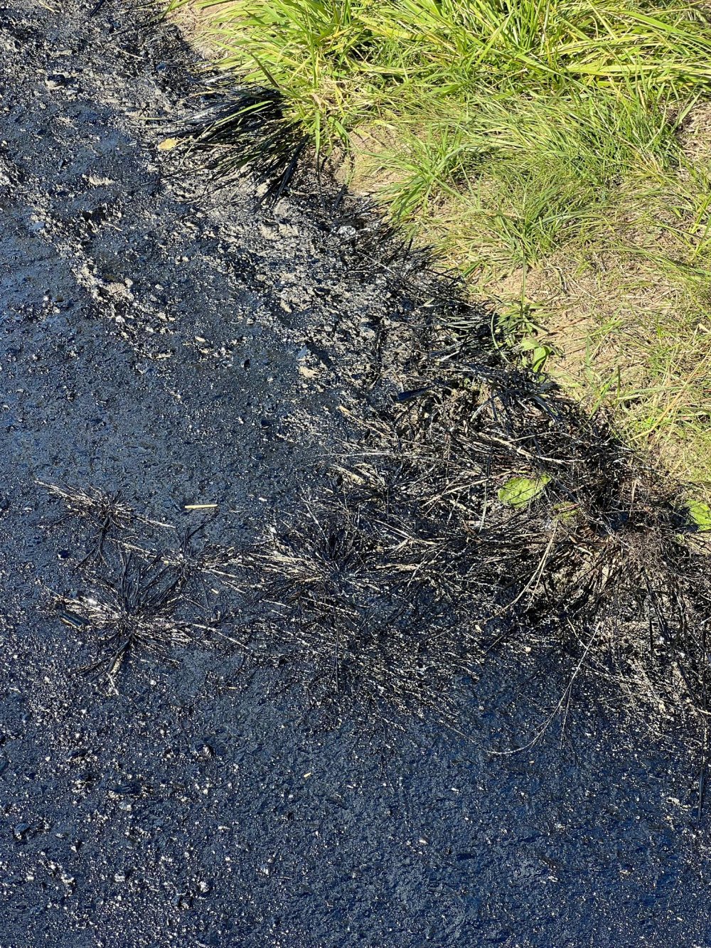 pista biciclete turnata pe iarba (5).jpg