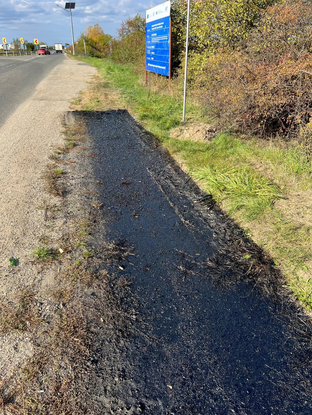 pista biciclete turnata pe iarba (6).jpg