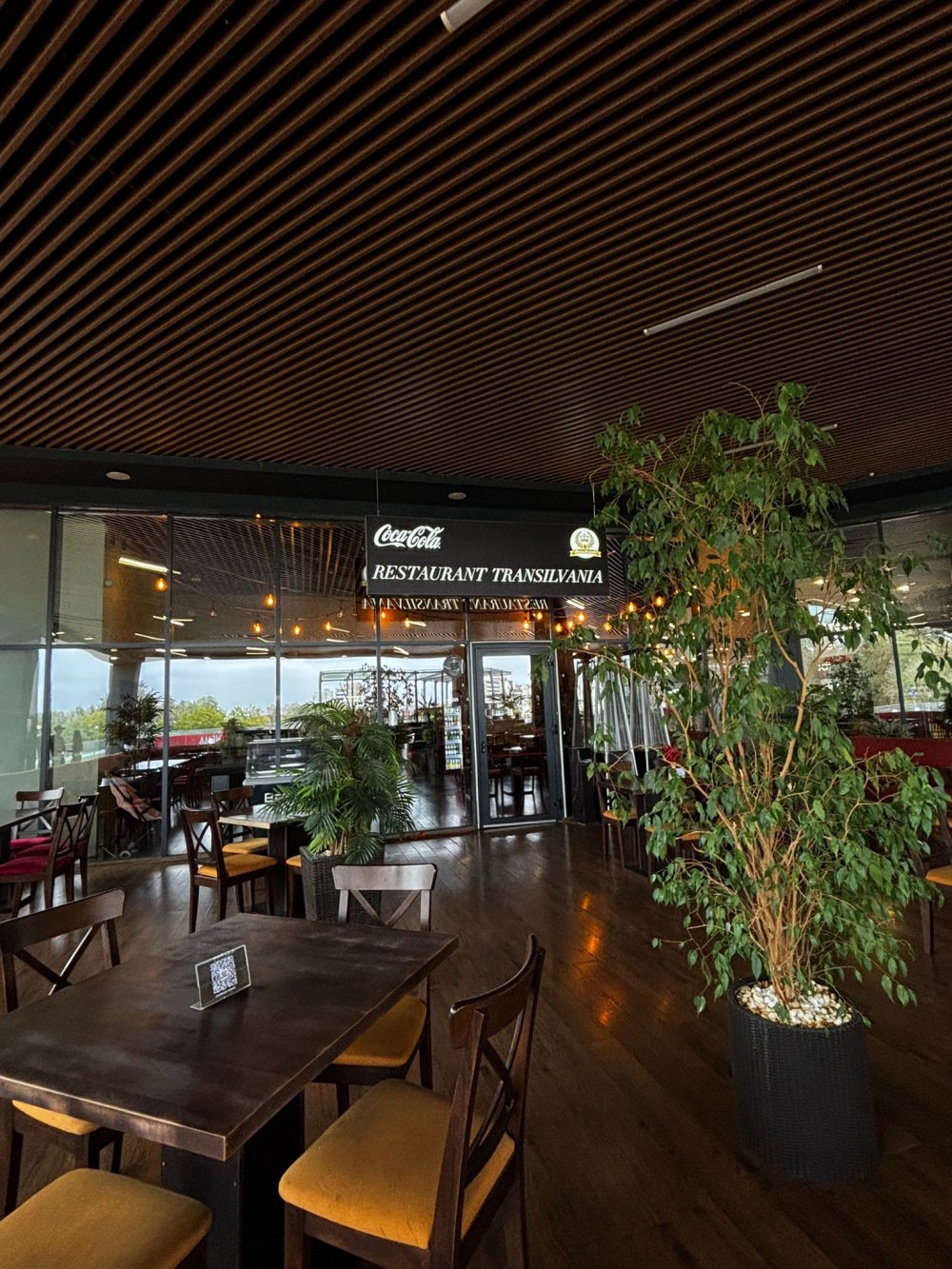 restaurant transilvania satu mare (13).jpg