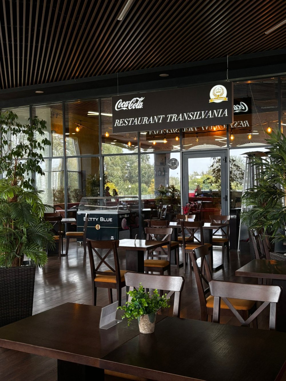 restaurant transilvania satu mare (15).jpg