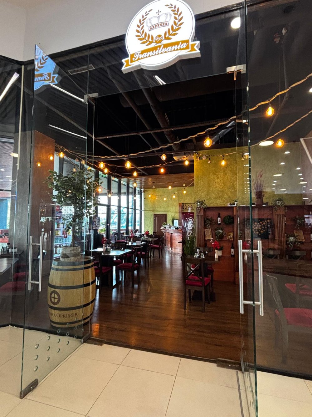 restaurant transilvania satu mare (5).jpg