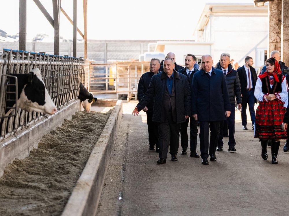 unicarm bolojan ilie (1).jpg