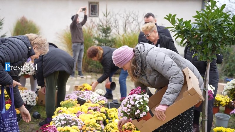 Flori Viile Satu Mare 7.jpg