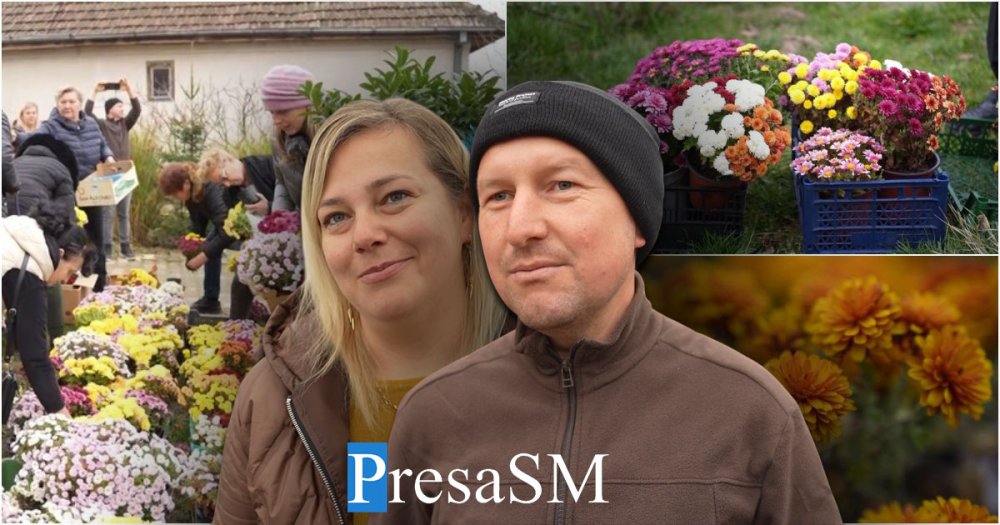 VIDEOREPORTAJ. Au preferat să dăruiască, nu să arunce! Aglomerație la poarta unui producător sătmărean de flori