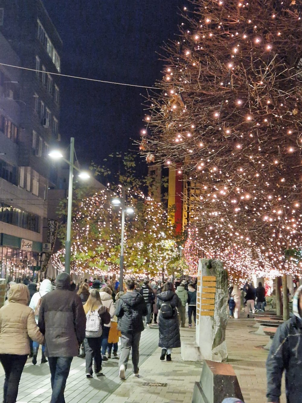 craciun lumini luminite brad satu mare (10).jpg