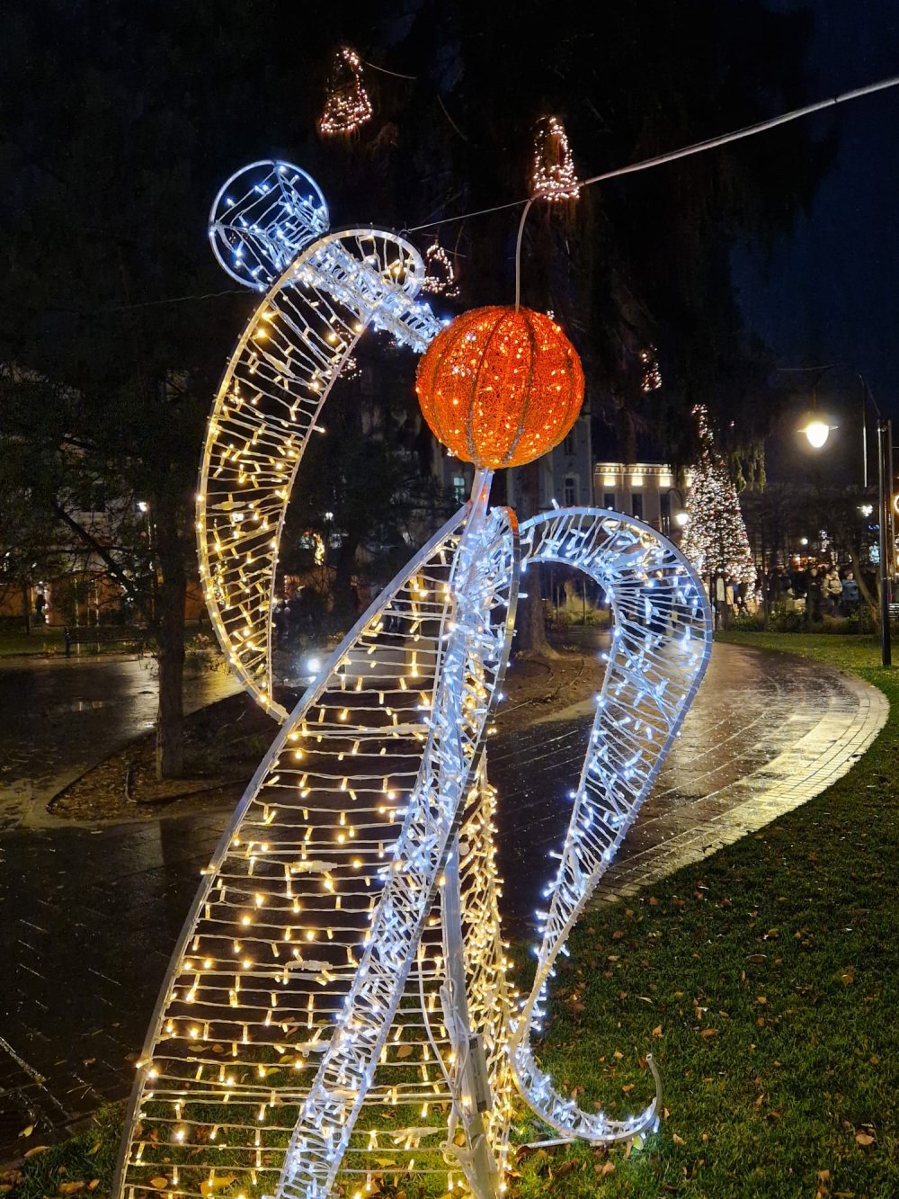craciun lumini luminite brad satu mare (11).jpg