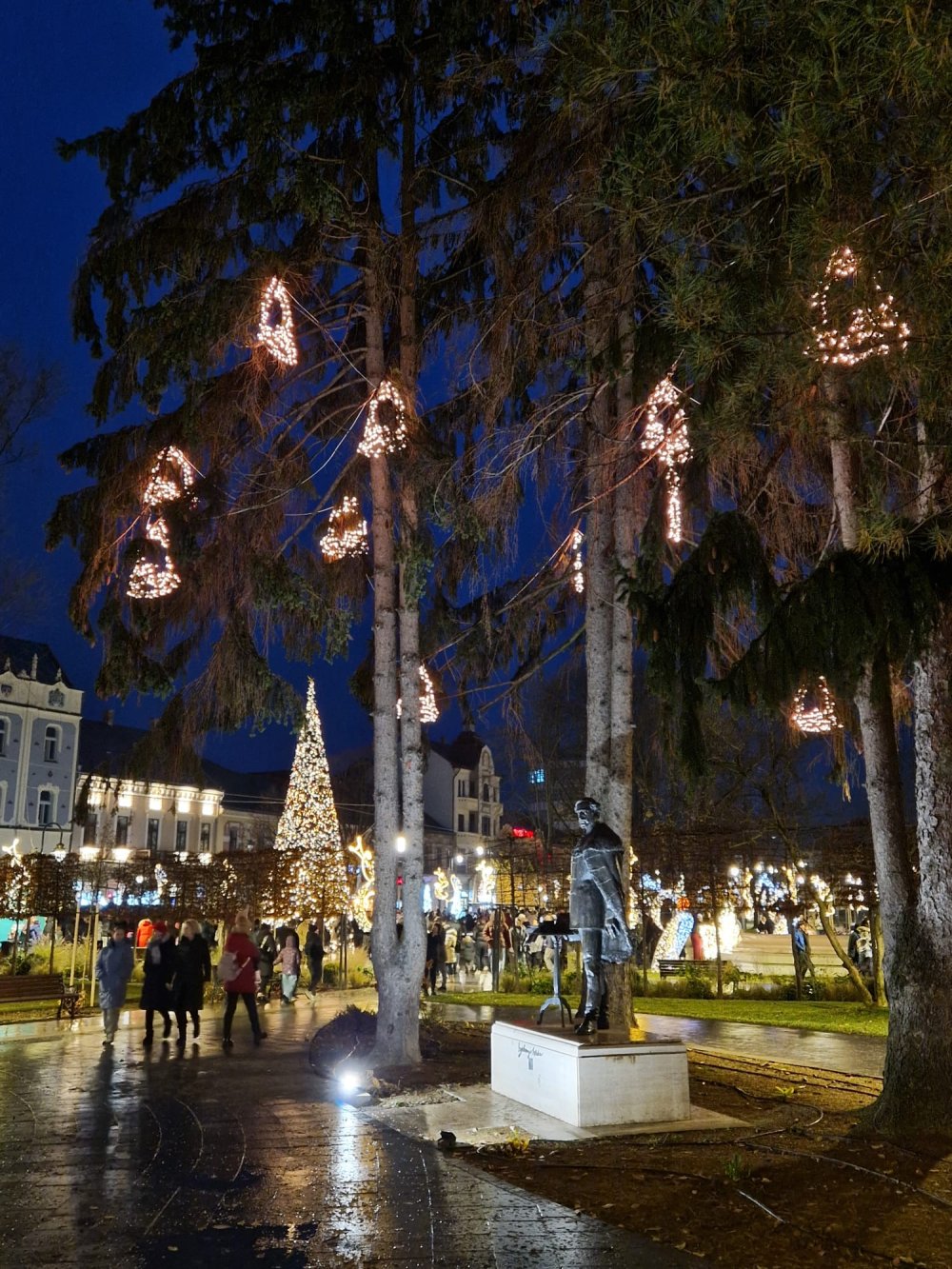 craciun lumini luminite brad satu mare (12).jpg
