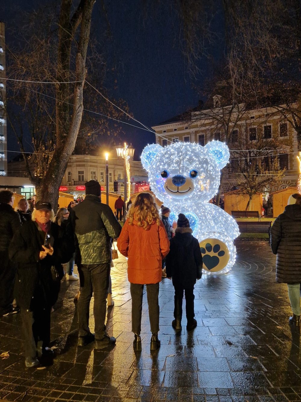 craciun lumini luminite brad satu mare (13).jpg
