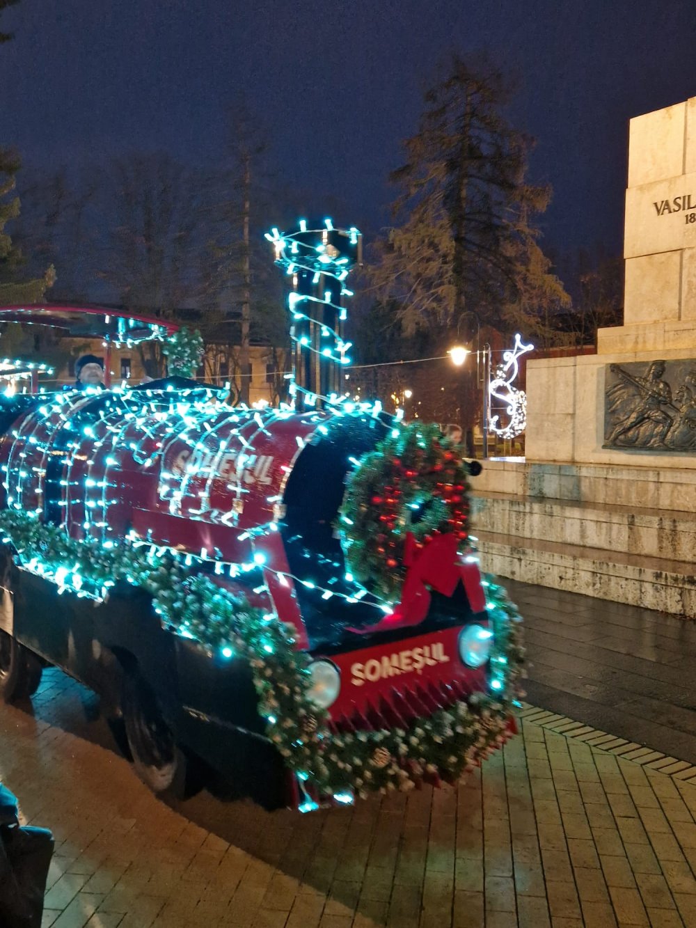 craciun lumini luminite brad satu mare (15).jpg