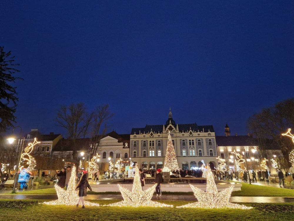 craciun lumini luminite brad satu mare (16).jpg