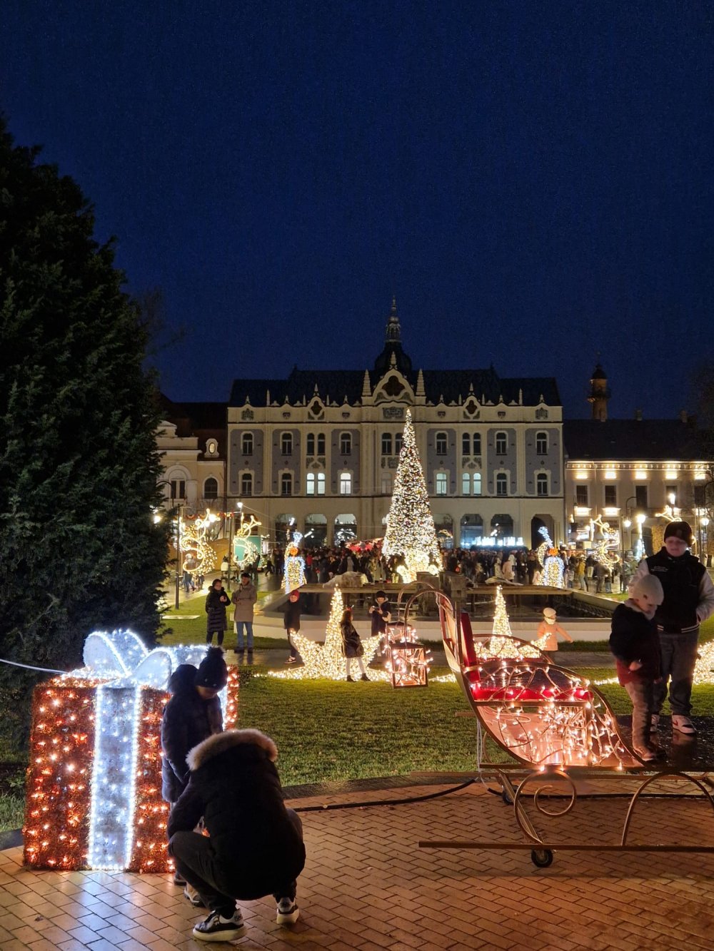 craciun lumini luminite brad satu mare (17).jpg