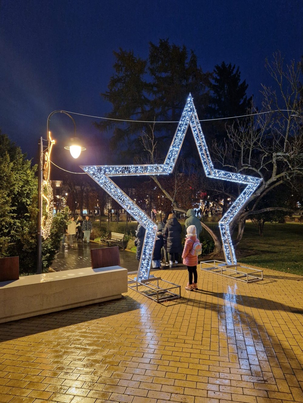 craciun lumini luminite brad satu mare (18).jpg