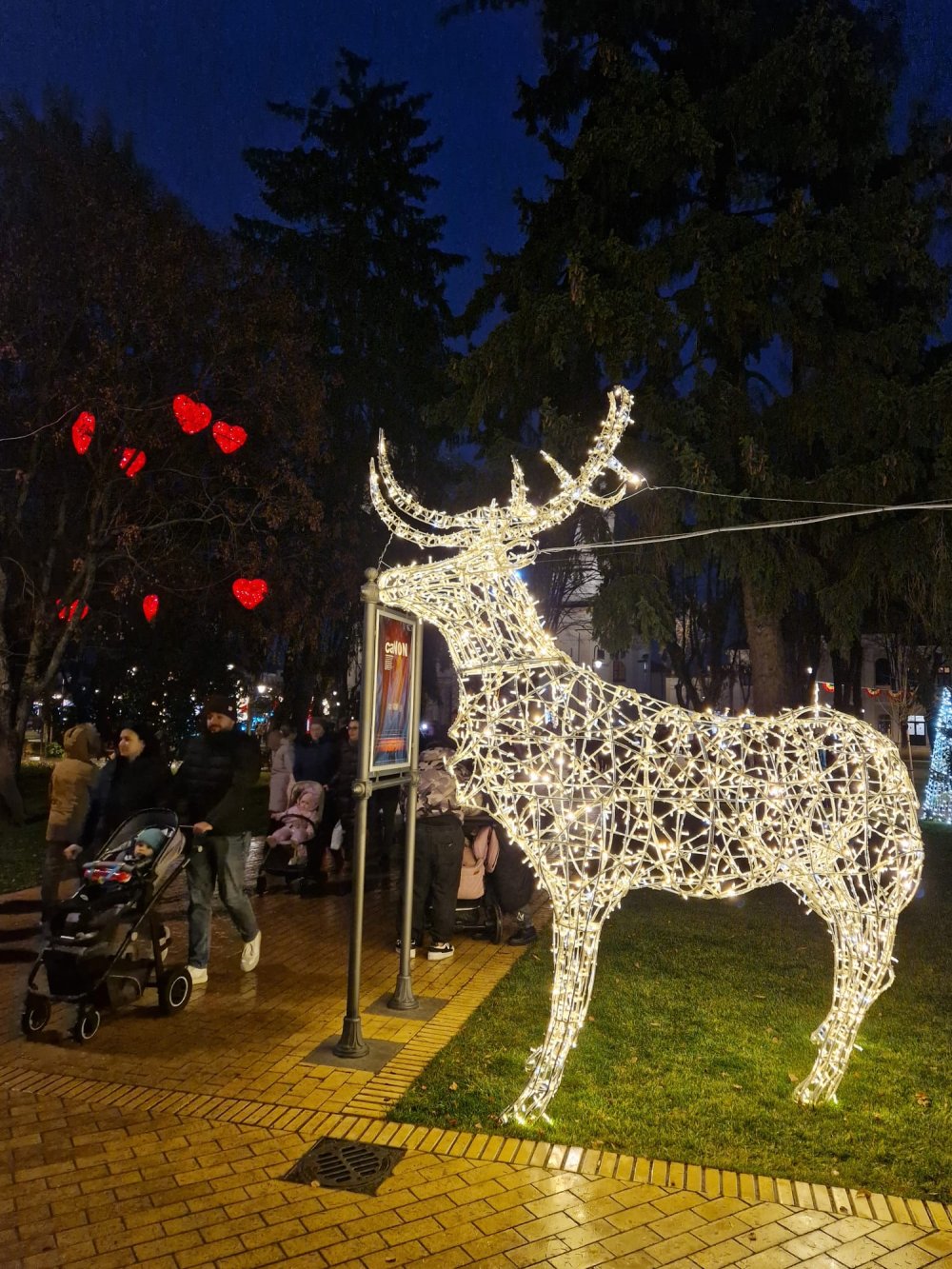 craciun lumini luminite brad satu mare (20).jpg