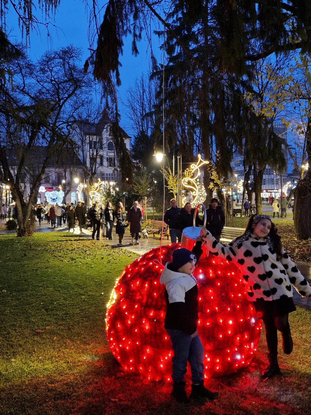 craciun lumini luminite brad satu mare (23).jpg