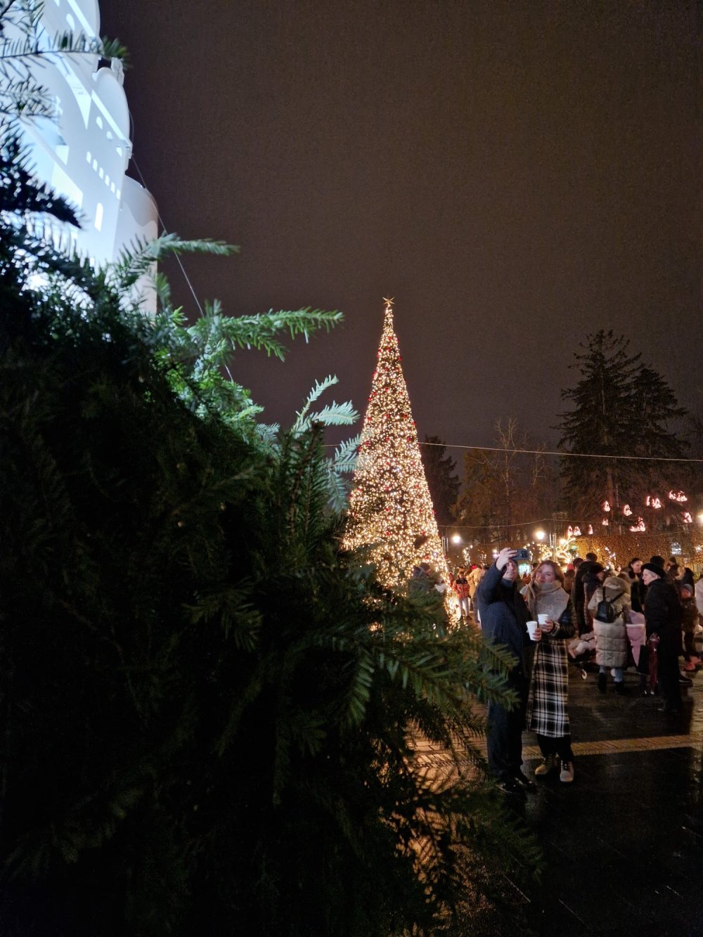 craciun lumini luminite brad satu mare (3).jpg