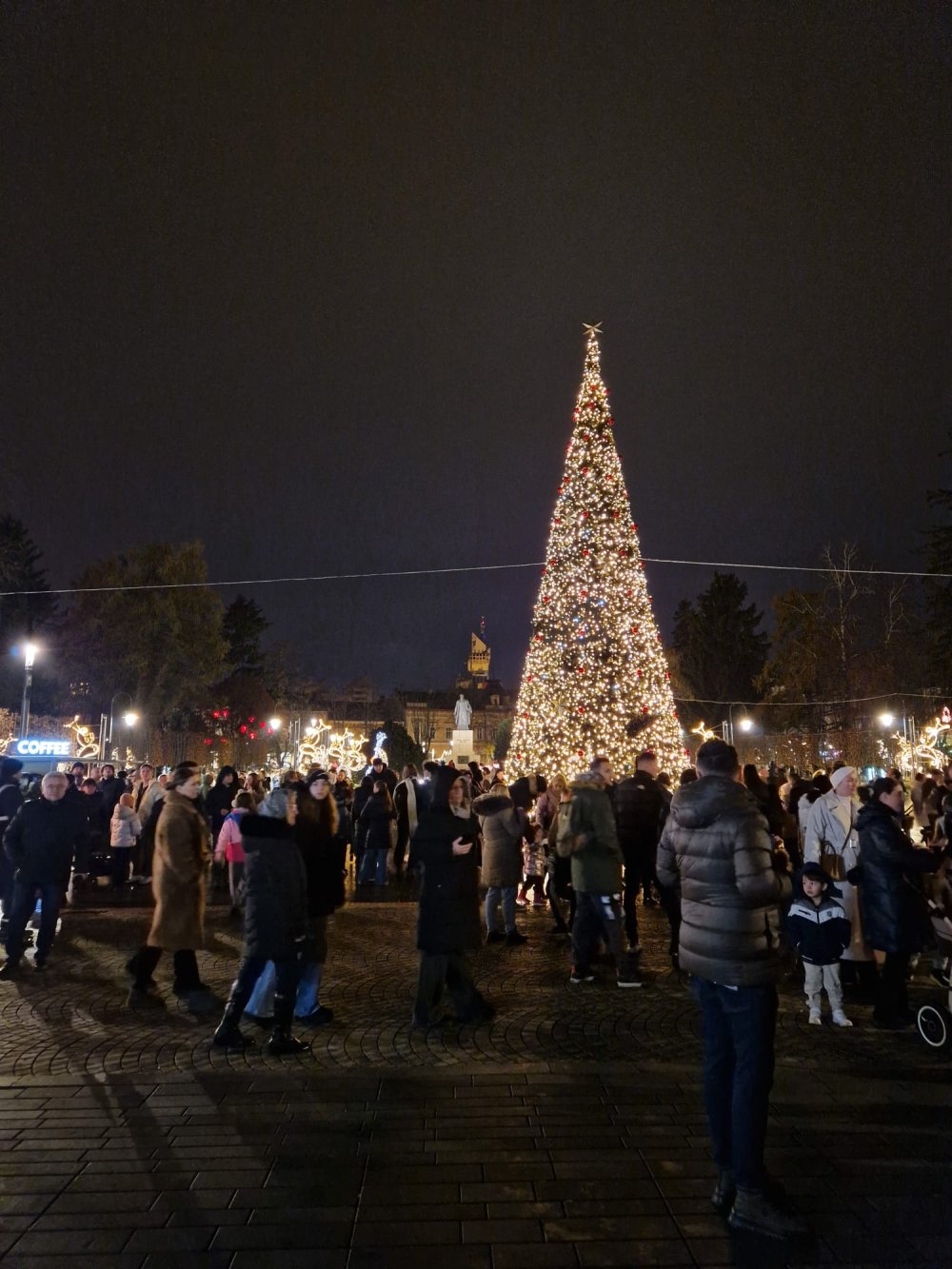 craciun lumini luminite brad satu mare (7).jpg