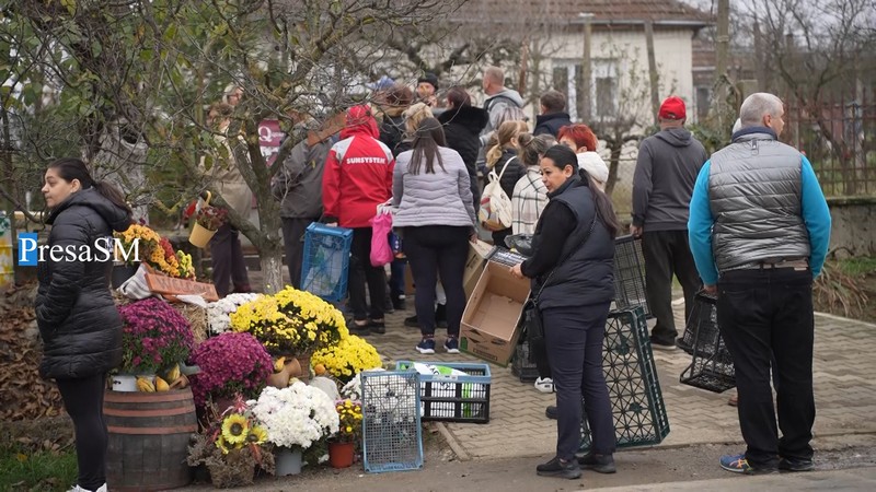 flori viile satu mare.jpg