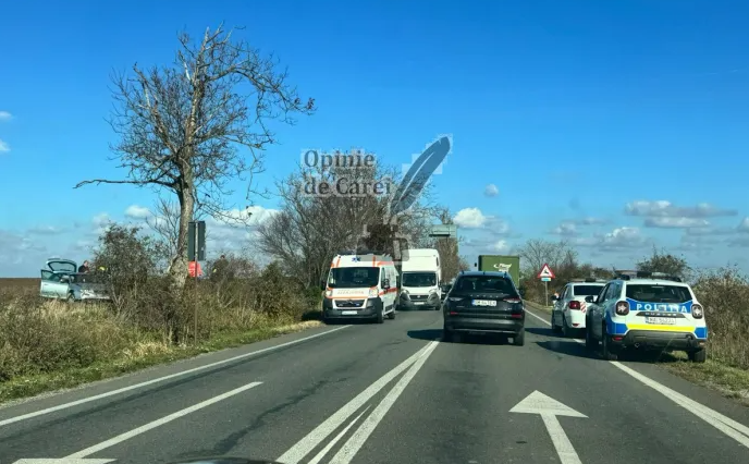 masina pe camp (1).png