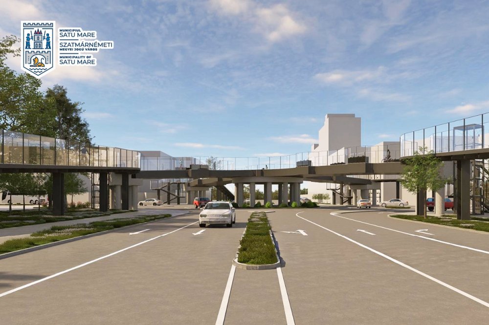 pasarela crinul satu mare (4).jpg