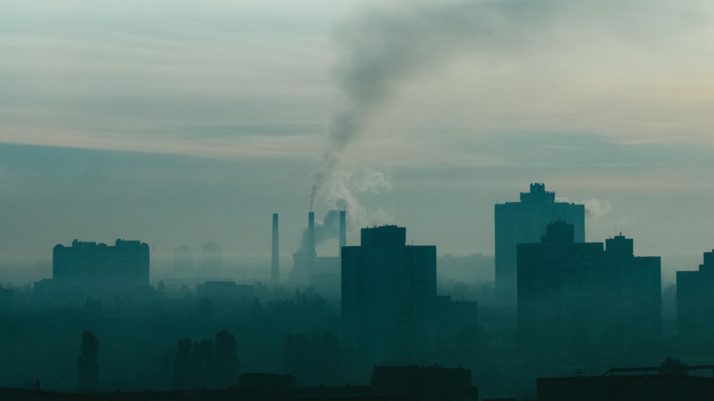 Cum influențează poluarea funcția hepatică