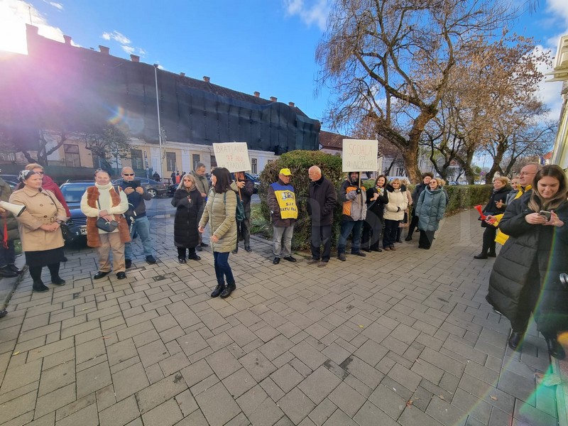 protest satu mare.jpg