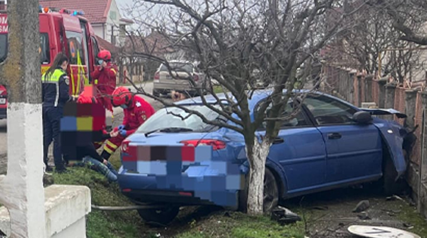 autoturism masina in gard.jpg