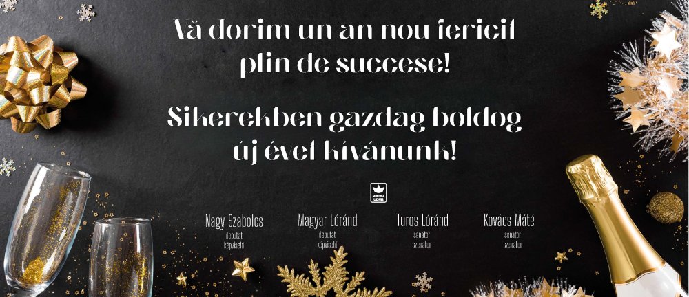 Parlamentarii UDMR Satu Mare vă doresc un An Nou plin de succese