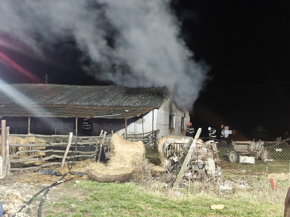 incendiu ferma animale pompieri seara necopoi.jpg