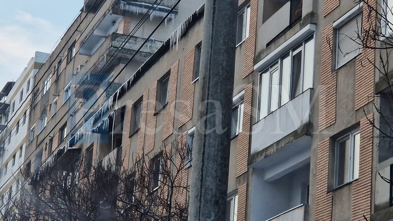 turturi satu mare3.jpg