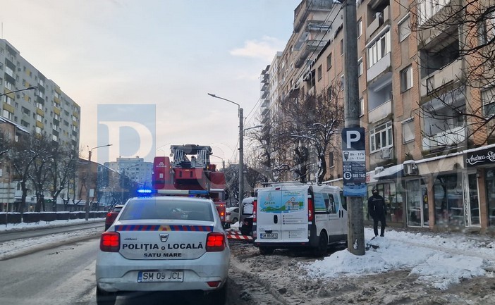 turturi satu mare.jpg