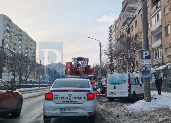 turturi satu mare2.jpg