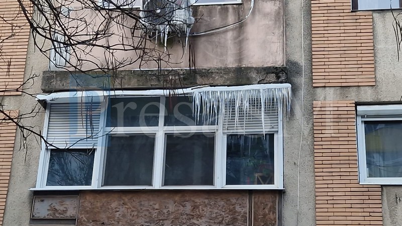 turturi satu mare5.jpg