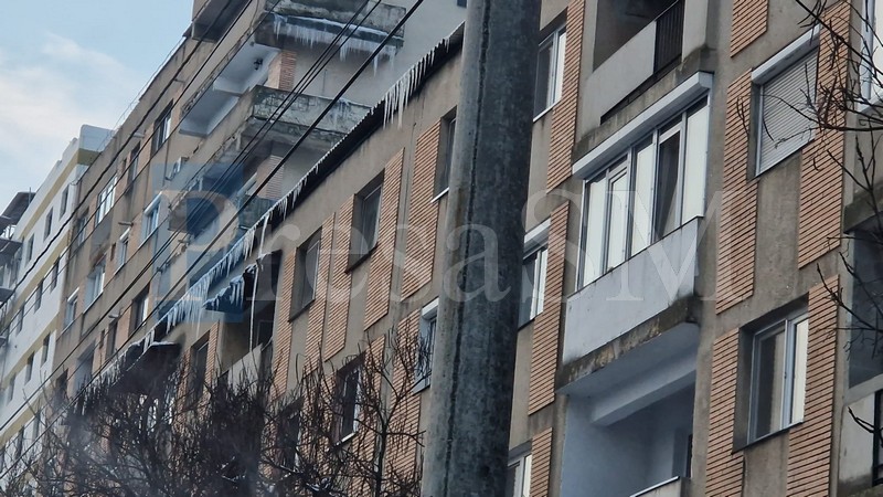 turturi satu mare4.jpg