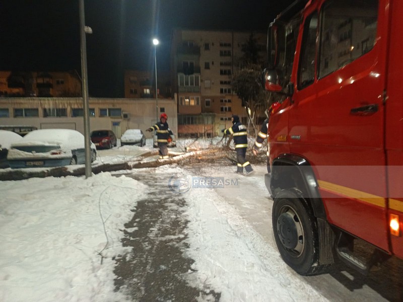 copac cazut interventie pompieri3.jpg
