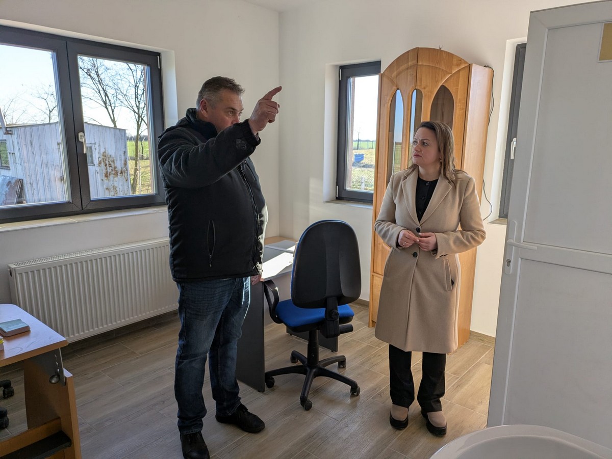 Adăpost câini carei5.jpg