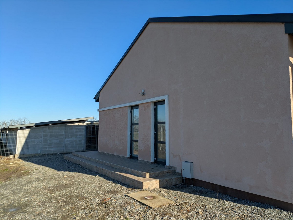 Adăpost câini carei6.jpg