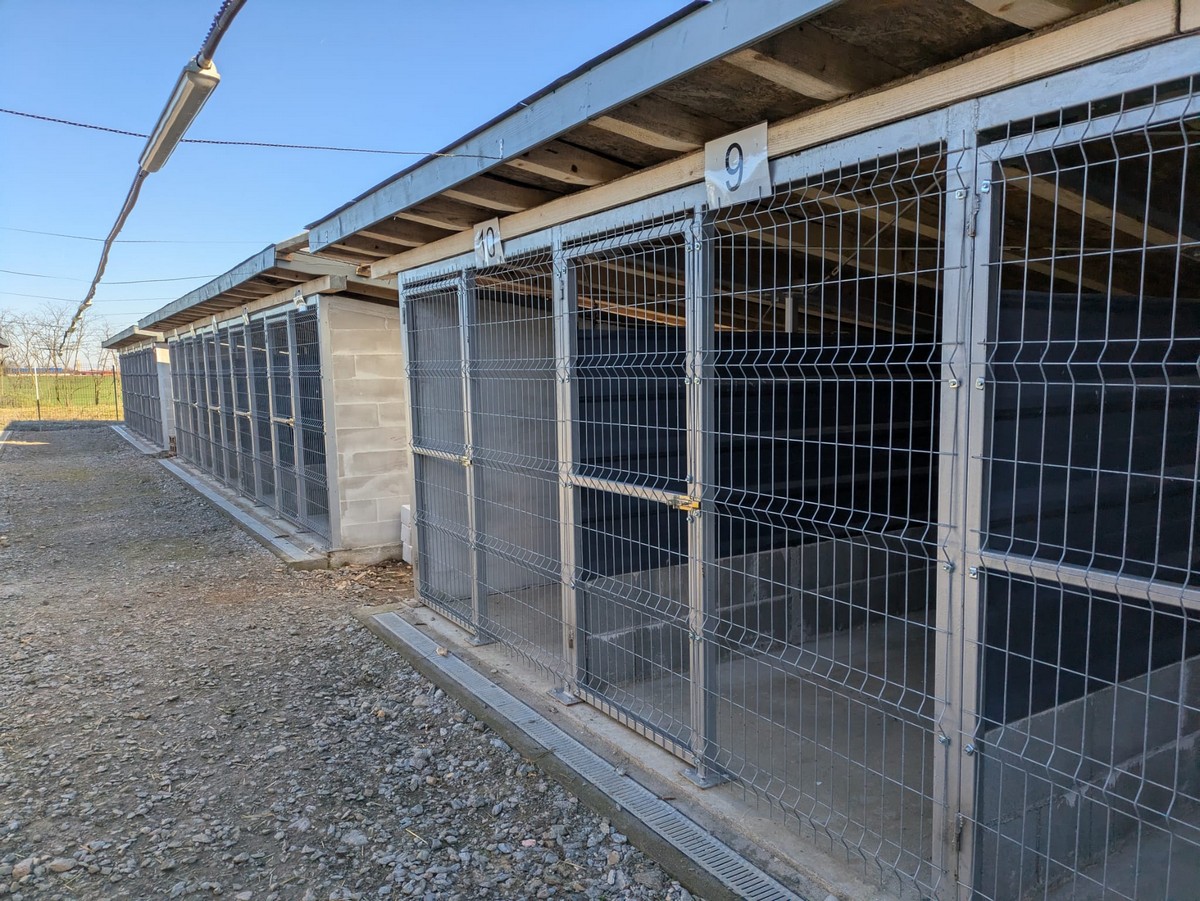 Adăpost câini carei3.jpg