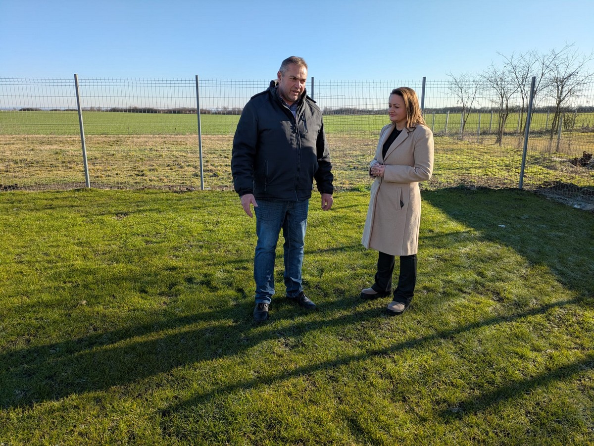 Adăpost câini carei1.jpg