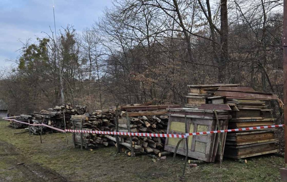 casa cămârzana3.jpg